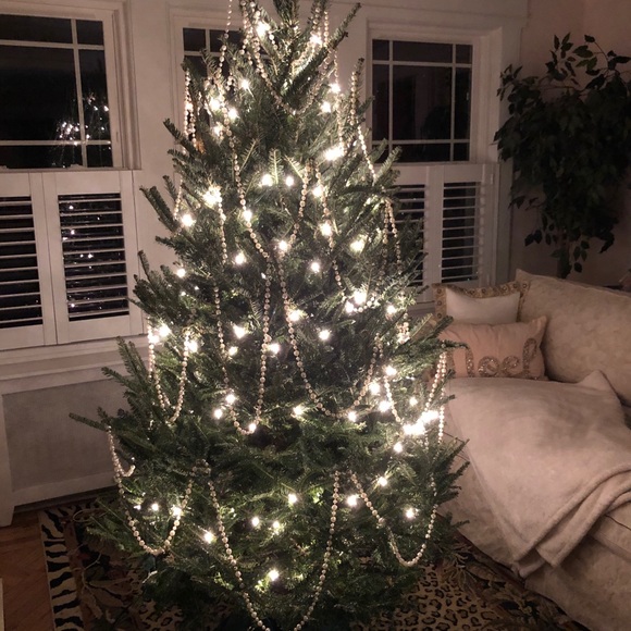 HELLO HELENA - Picture 5 of 15